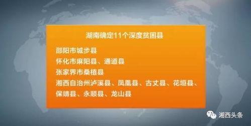 新闻爆料湖南新闻联播,聚焦民生热点，传递社会正能量  第1张