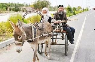 爆料二驴卖车视频大全,揭秘网红带货新潮流  第1张